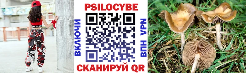 Псилоцибиновые грибы Psilocybe  купить закладку  Комсомольск-на-Амуре 